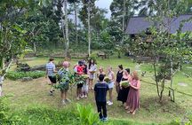 From Ubud: Authentic Bali Farm Cooking School & Organic Farm