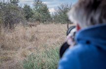 Chobe Day Trip in Botswana