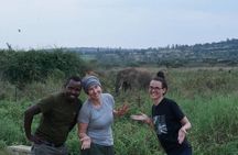 2 Days & 1 Night Akagera National Park Safari Tour