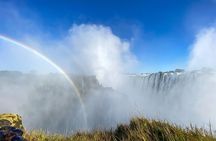 Guided Tour of the Falls
