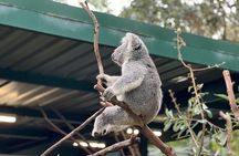 Private Blue Mountains Day Trip VIP from Sydney luxury