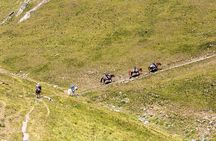 4-Day Horse Riding Tour in Tusheti