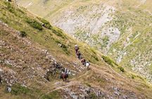 4-Day Horse Riding Tour in Tusheti