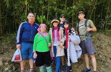 5 Hour Tour in Sa Pa: Muong Hoa Valley Trek and Local Ethnic Villages