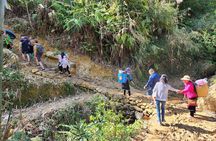 5 Hour Tour in Sa Pa: Muong Hoa Valley Trek and Local Ethnic Villages