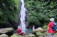 Private Guided Grenada Island Tour "BY THE HOUR"