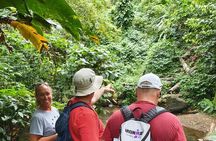 Private Guided Grenada Island Tour "BY THE HOUR"