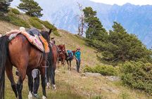 5-Day Horse Riding Tour in Caucasus