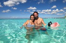 Starfish, Stingrays and the Turtle Bay Snorkeling Tour