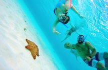 Starfish, Stingrays and the Turtle Sanctuary Cozumel Snorkel Tour