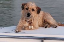 4 hours Private Eco Boat Tour Wildlife and Nature in Pine Island 