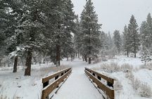 Mount Charleston Tour
