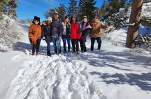 Mount Charleston Tour