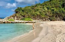 Family Snorkel Safari. ️Private boat!