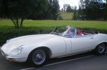 Six-Bridges-of-Sydney-Vintage-Car-Ride-Experience