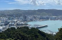 Wellington Full Day Private Tour in Electric Tesla SUV