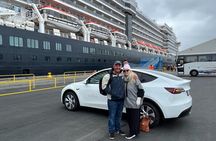 Wellington Full Day Private Tour in Electric Tesla SUV