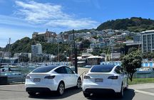Wellington Full Day Private Tour in Tesla SUV - All inclusive