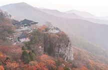 Temple Tour : Namhae Geumsan Boriam Hermitage Tour from Busan