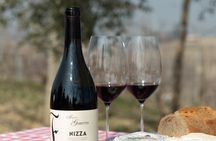 Monferrato (Asti): Wine Tour with light lunch picnic in the vineyards