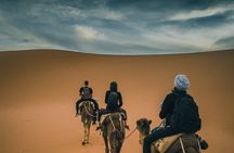 7 Days Camel Trek from Marrakech
