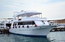 Ras Mohamed & White Island Snorkeling or Scuba Diving trip
