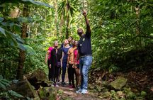 St Lucia Jacquot Trail Hike at Rainforest Adventures
