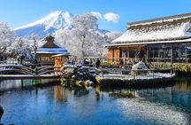 Mt. Fuji, Hakone Full-Day Private Tour with English Driver Guide