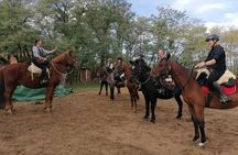 Private Horse Riding in the countryside and lunch with transport