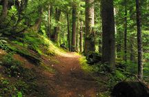 Pyrenees Hiking Experience from Barcelona. Small Group Tour