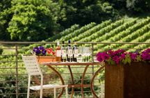 San Gimignano: Chianti wine tasting 
