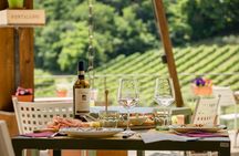 San Gimignano: Chianti wine tasting and lunch 