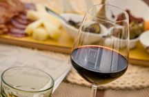 San Gimignano: Chianti wine tasting 