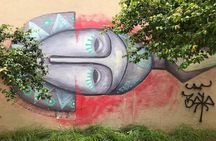 Rio Street Art Tour