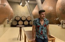 Private wine tour Casablanca valley