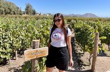 Viña Concha y Toro Premium Tour (half day)