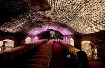 Viña Concha y Toro Premium Tour (half day)
