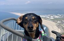 Half-Day Guided E-Bike Tour Portland with Brunch