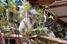 Private Blue Mountains Day Trip VIP from Sydney luxury