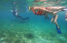 Reef Snorkeling with ATV, Zipline, Cenote that includes lunch and transportation