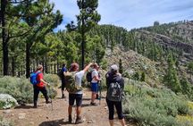 Full day Hiking Gran Canaria Peaks of Gran Canaria
