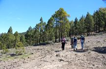 Full day Hiking Gran Canaria Peaks of Gran Canaria