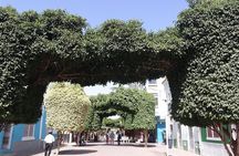 Guided City tour Praia with Cidade Velha (World Heritage)