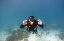 Scuba Diving Trips to Dimaniyat Islands 