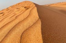 Evening Desert Safari Tours