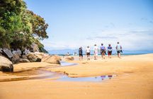 Best Abel Tasman Day trip