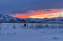 Castner Glacier Ice Cave Adventure from Fairbanks 