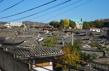 Full-day UNESCO Heritage Tour with Suwon Hwaseong from Seoul