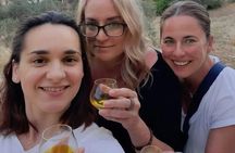 From Athens: Olive Oil Tasting, Olive Grove & Wine Experience