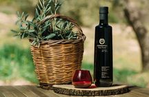 From Athens: Olive Oil Tasting, Olive Grove & Wine Experience